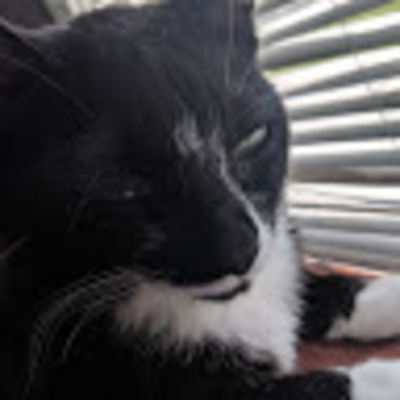 Meet your Posher, Aj - Picture 1 of 1